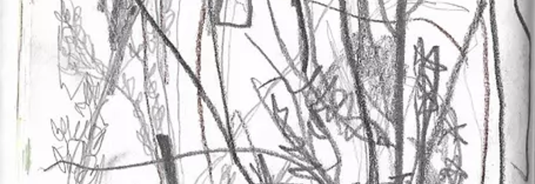 Some speculations on asemic writing and the productive embrace of ...