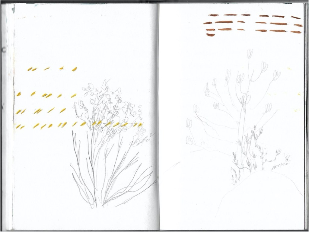 a photograph of an open artist sketch book with drawings and marks that look like notation