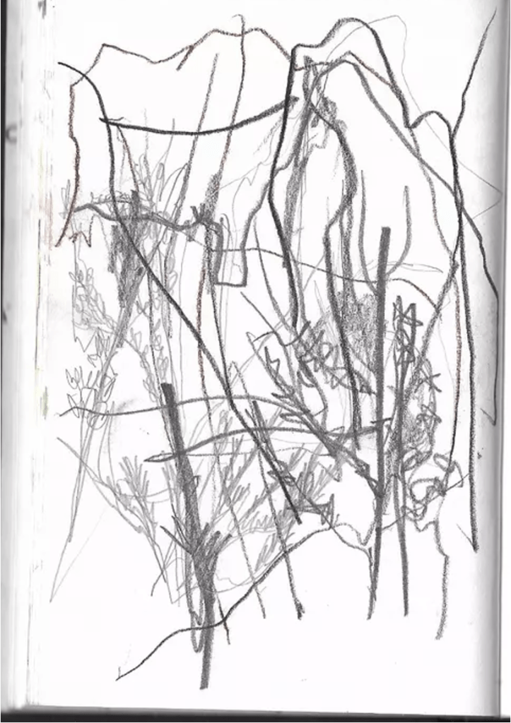 a photograph of a 360 degree drawing in pencil 